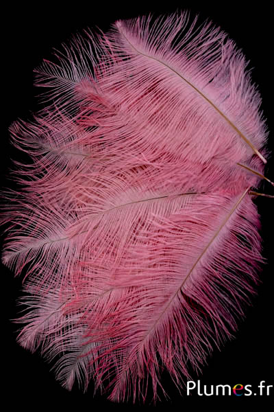 Autruche - 13-18 cm - rose tendre